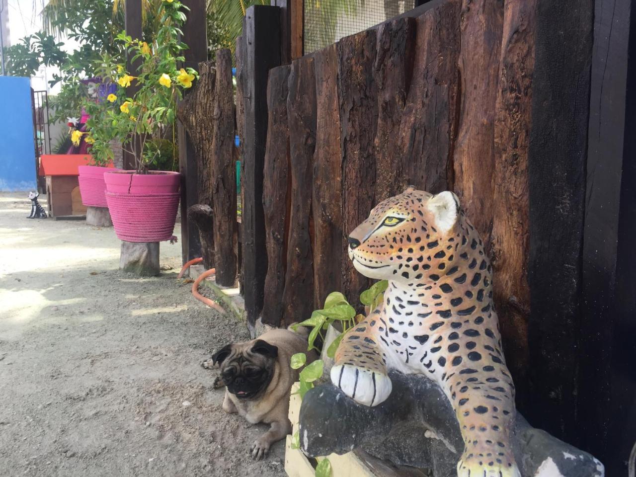 Hotel Hacienda La Catrina Isla Holbox 外观 照片